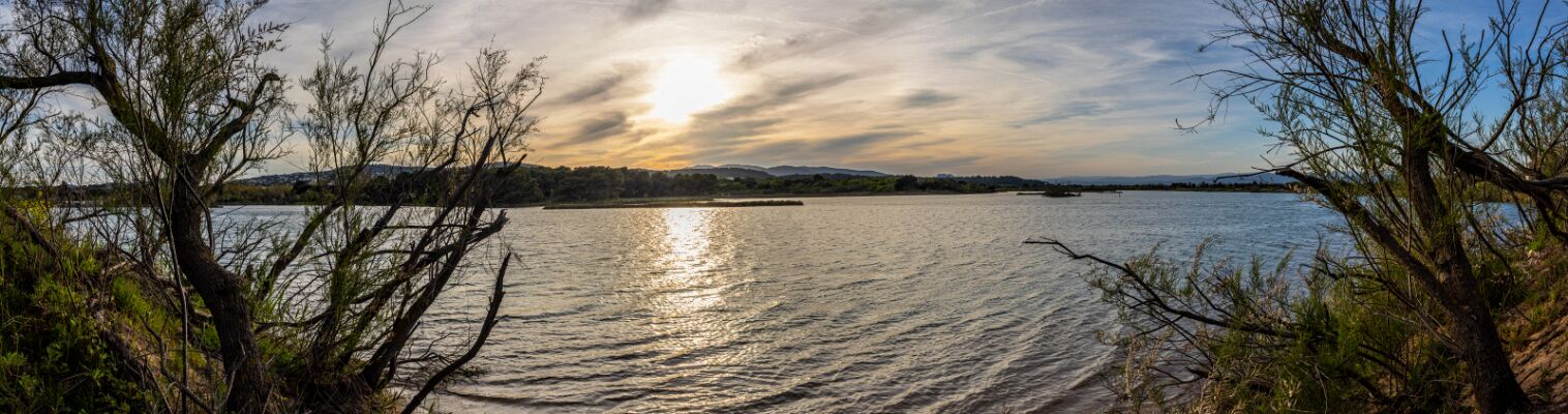 2025.04.11 Etang de Villepey (St Aygulf)