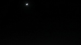 Coucher de Lune  18.12.2023
