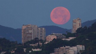 Coucher de Lune  11.07.2025