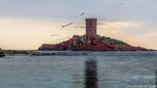 Les Piafs de l'Ile d'Or  19.02.2025