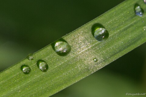 IMG_5880 null
