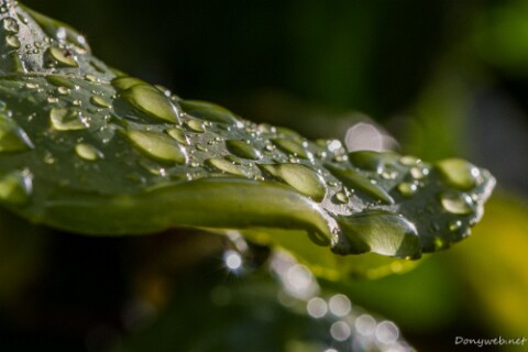 IMG_8806 null