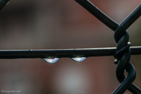 IMG_8809 null